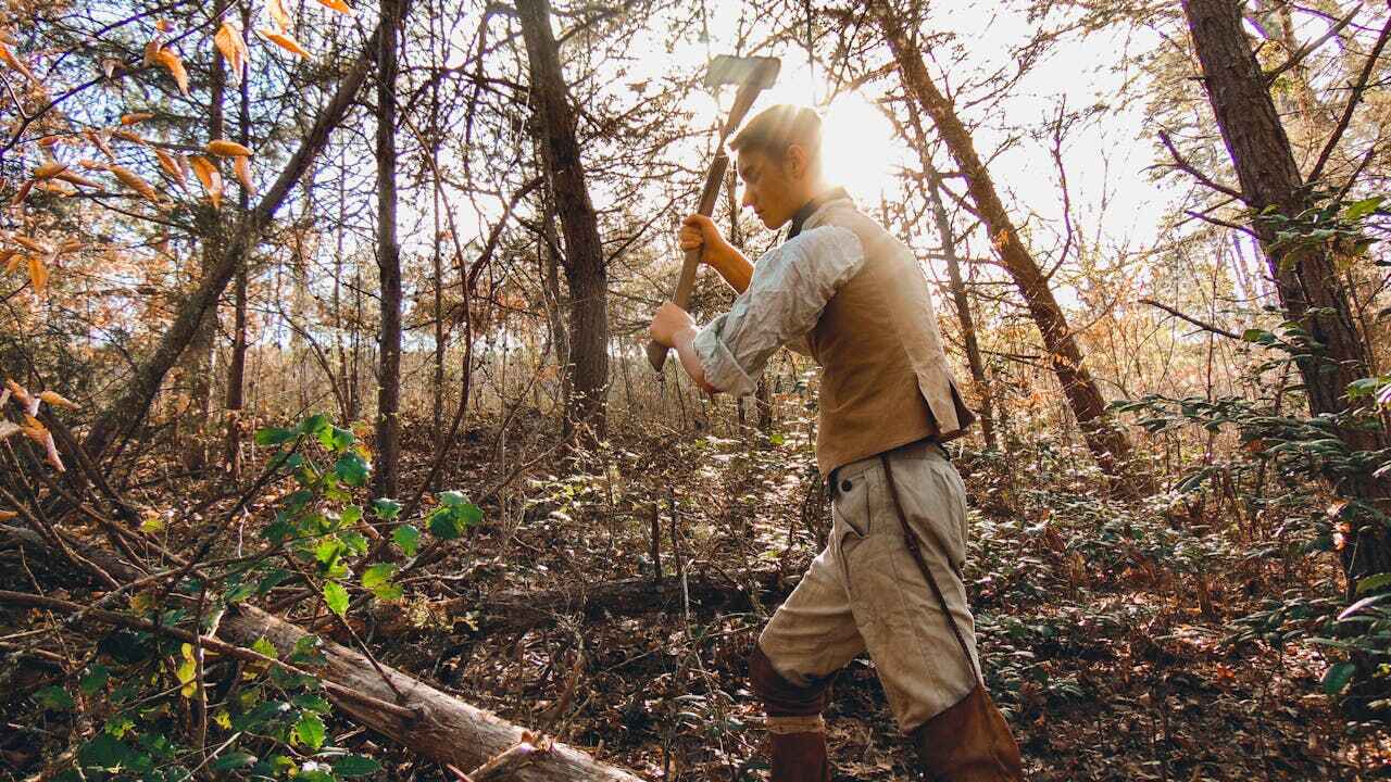 Tree Branch Trimming in University City, MO